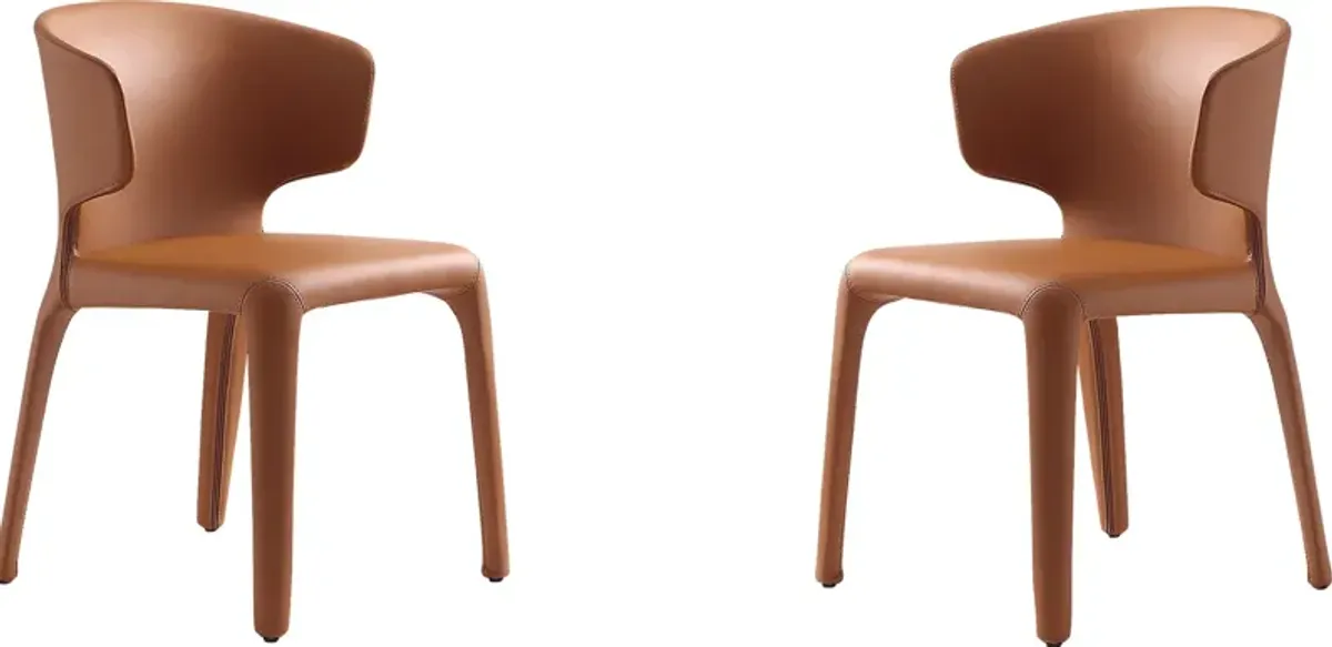 Ravennite I Brown Side Chair, Set of 2