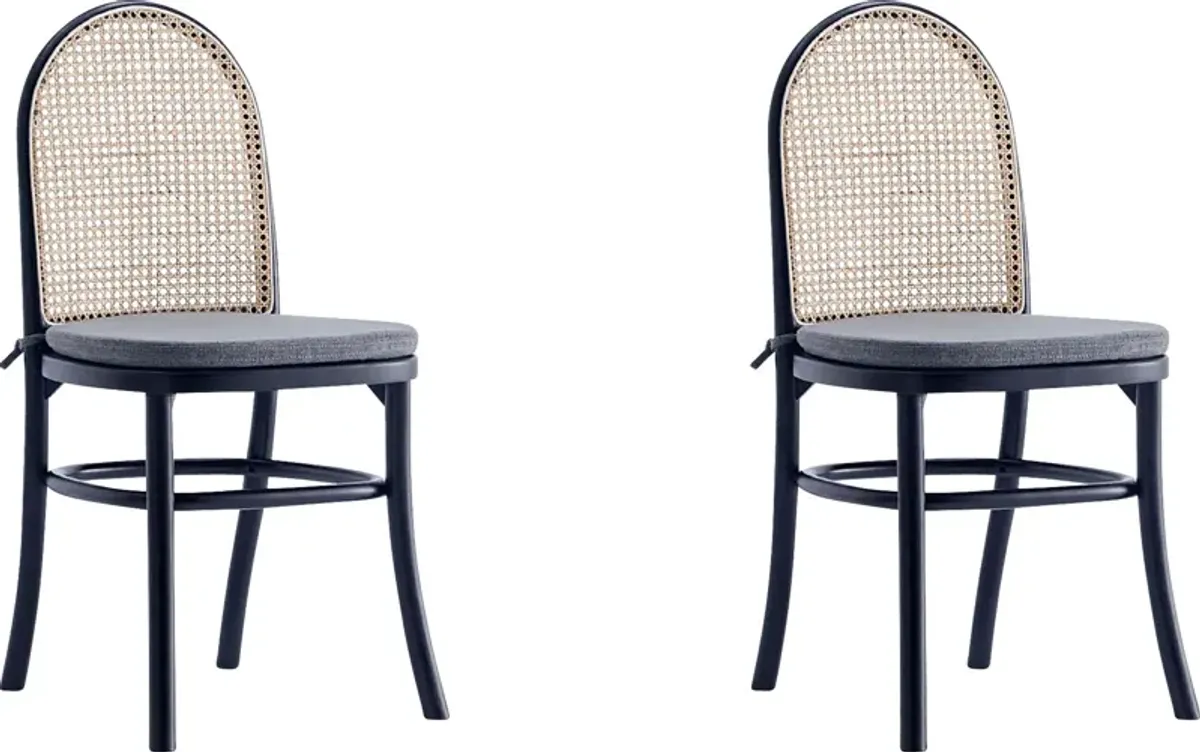 Fruitser Black Side Chair, Set of 2
