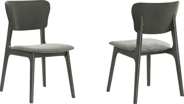 Desertsys II Gray Dining Chair, Set of 2