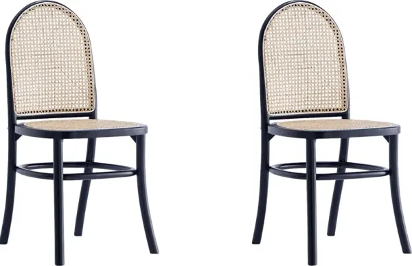 Heartnite Black Dining Chair, Set of 2