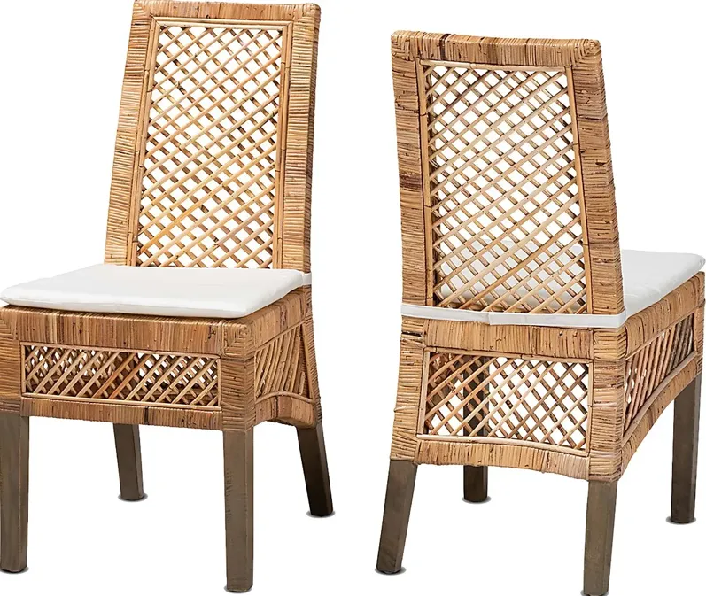Argolana I Brown Side Chair, Set of 2