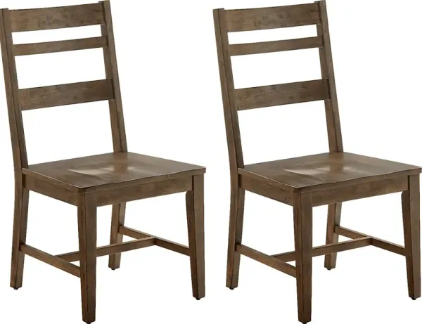 Vamana Brown Dining Chair, Set of 2