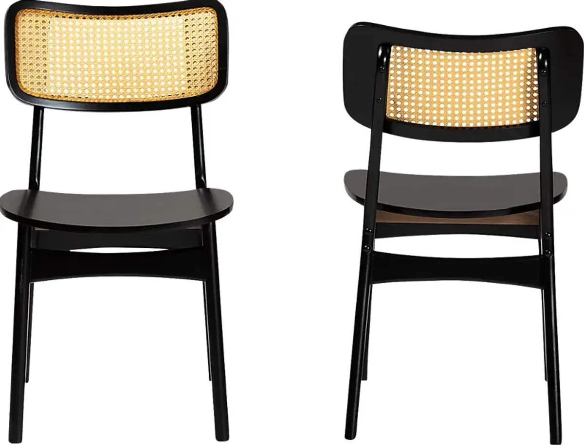 Bolgiano Dark Brown Dining Chair, Set of 2