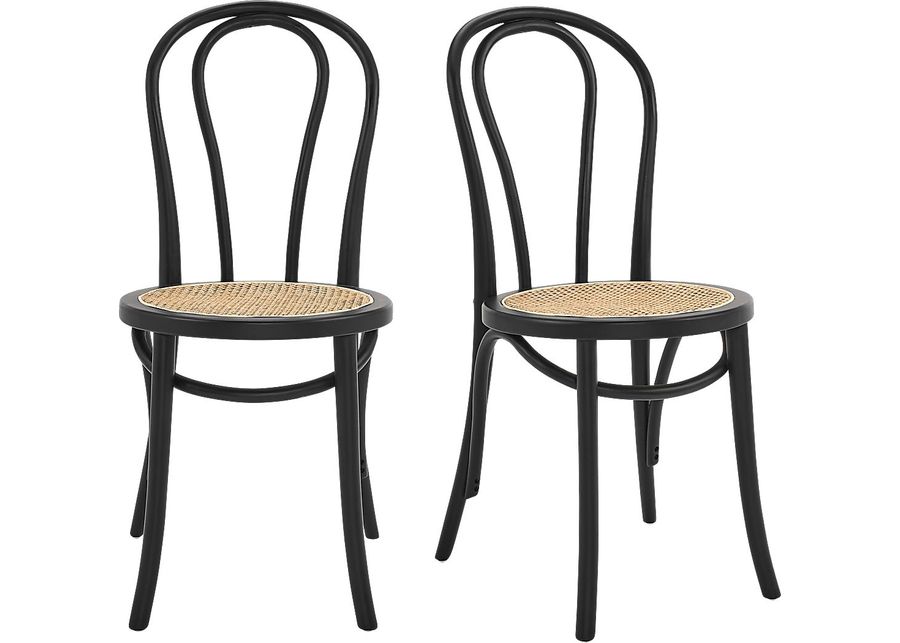 Brouwers Black Dining Chair, Set of 2