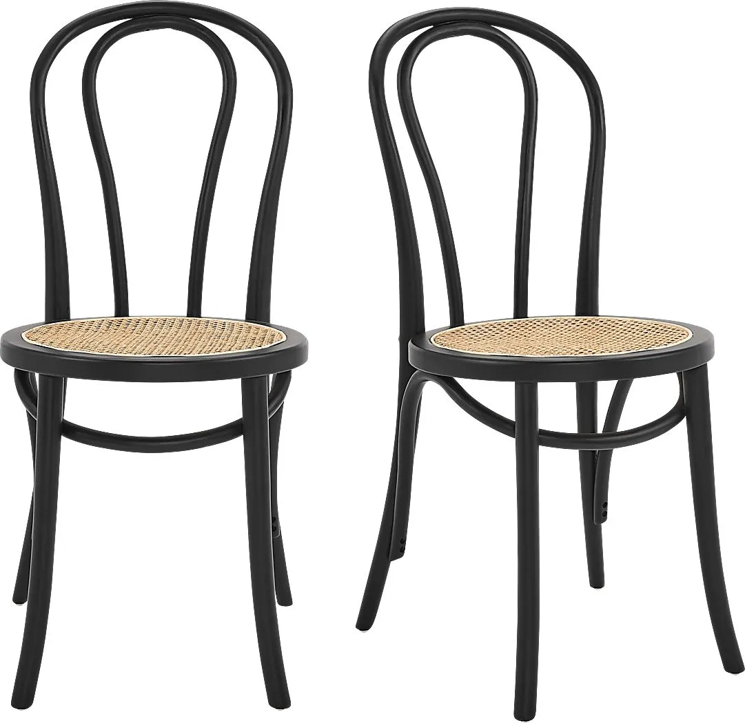 Brouwers Black Dining Chair, Set of 2