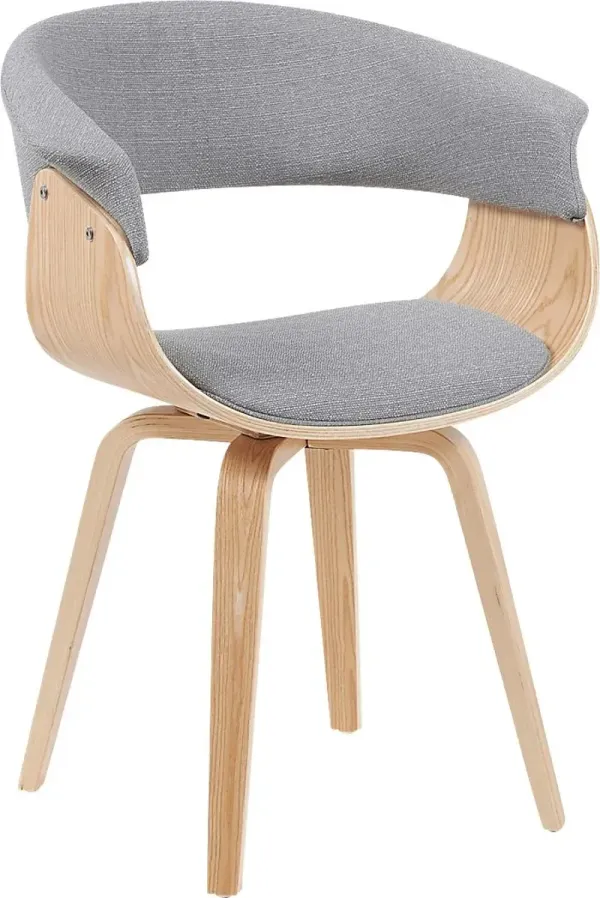 Rinoex Gray Arm Chair