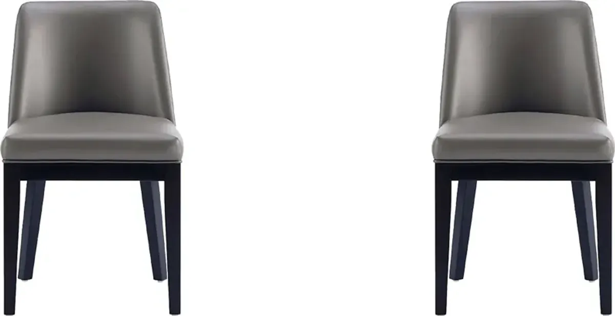 Doescher Gray Dining Chair, Set of 2