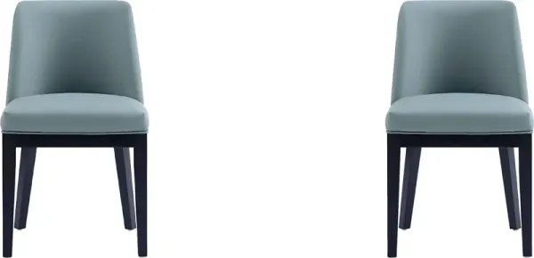 Doescher Pewter Dining Chair, Set of 2