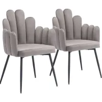 Bielo Gray Side Chair, Set of 2