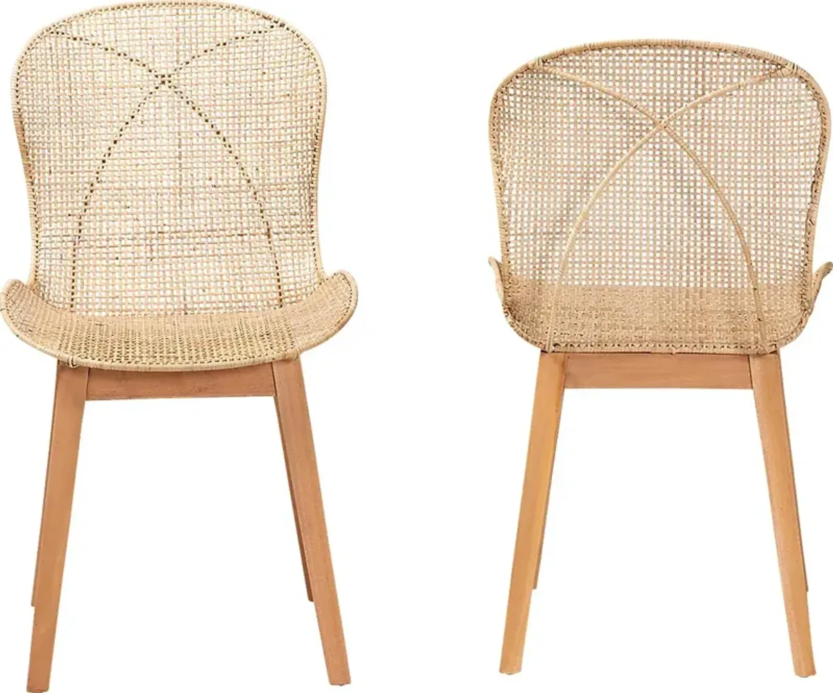 Dunstable Brown Dining Chair, Set of 2