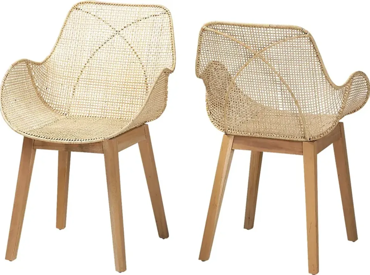 Aquidneck Natural Arm Chair, Set of 2