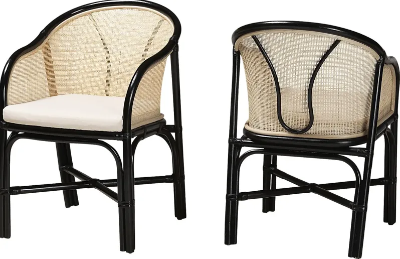 Branchaud Natural Arm Chair, Set of 2
