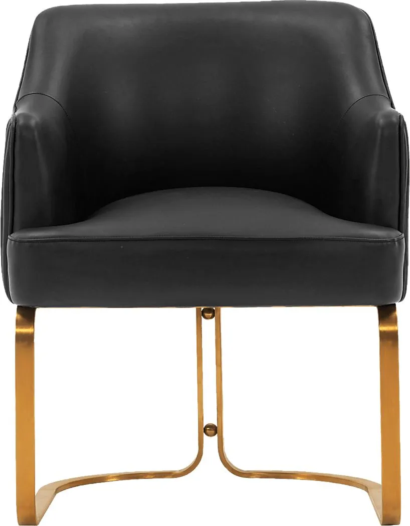 Pegan Black Arm Chair