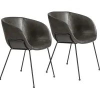 Choupique Dark Gray Arm Chair, Set of 2