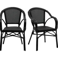 Palumbo I Black Arm Chair, Set of 2