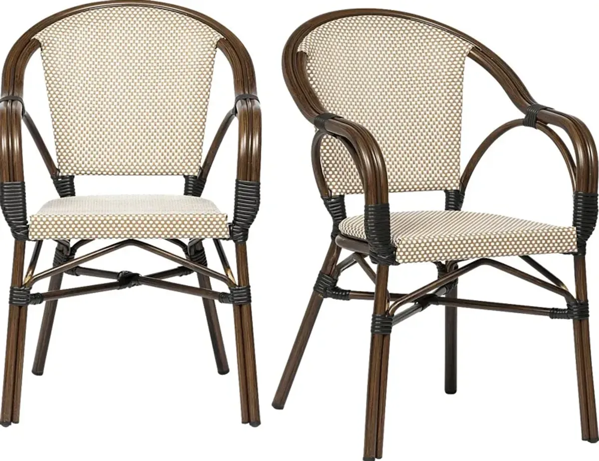 Palumbo II Brown Arm Chair, Set of 2