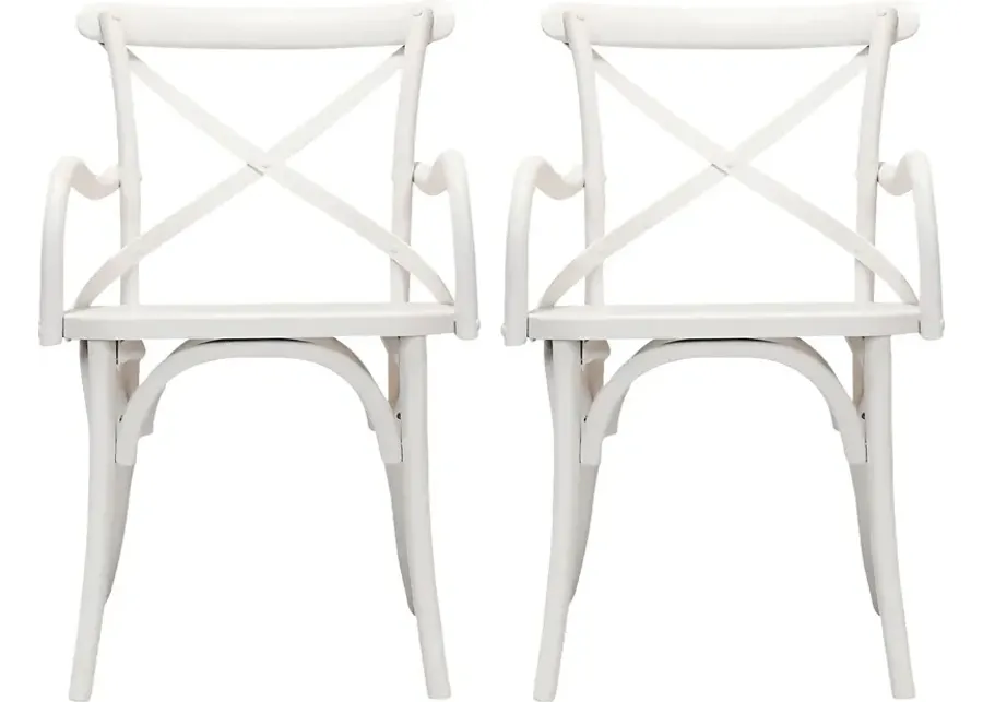 Araeno White Dining Chair, Set of 2