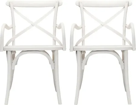 Araeno White Dining Chair, Set of 2