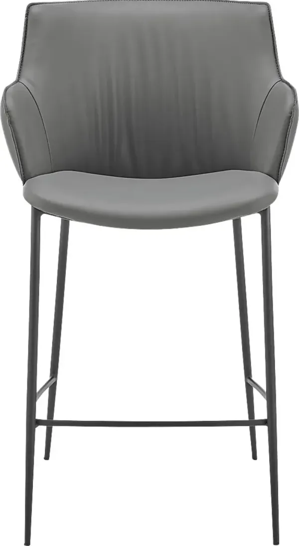 Dipaolo Gray Counter Height Stool