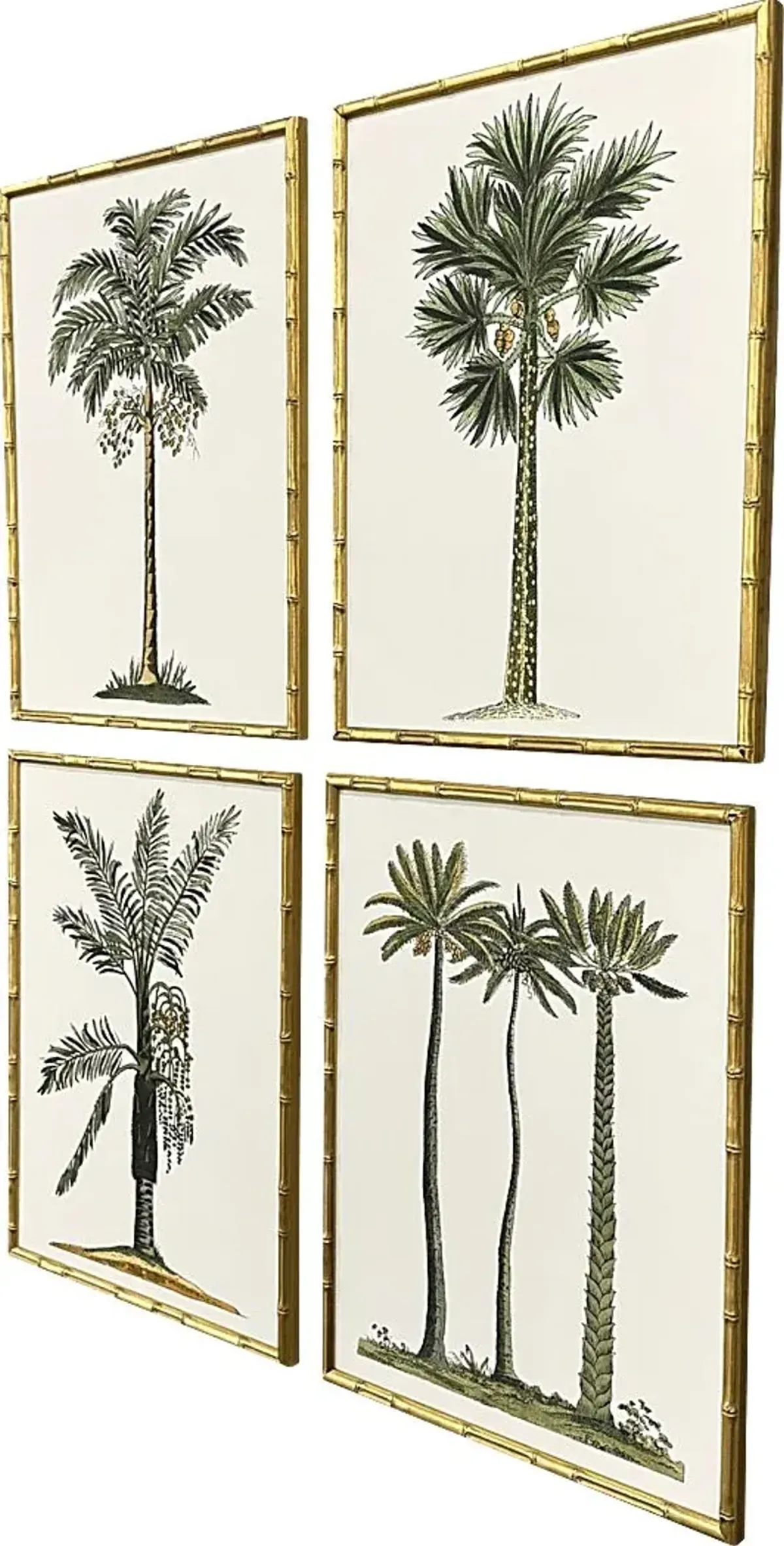 Arlox Green Artwork, Set of 4