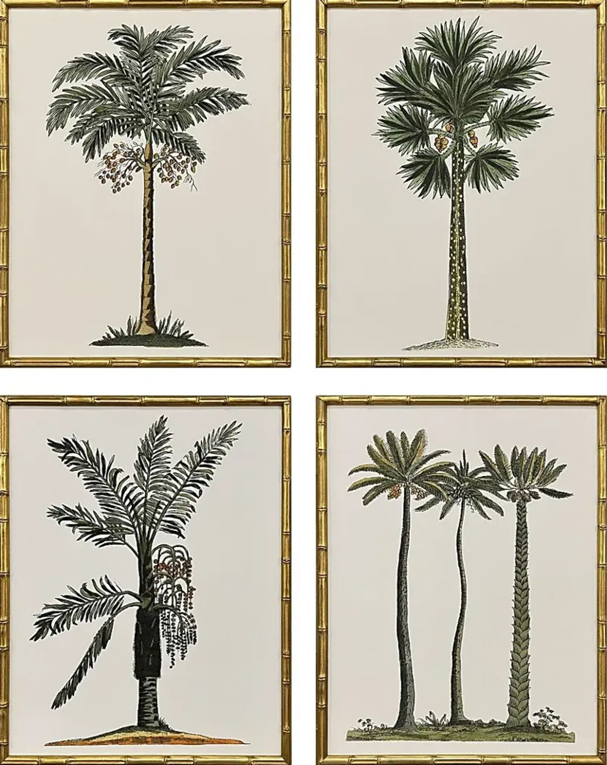 Arlox Green Artwork, Set of 4