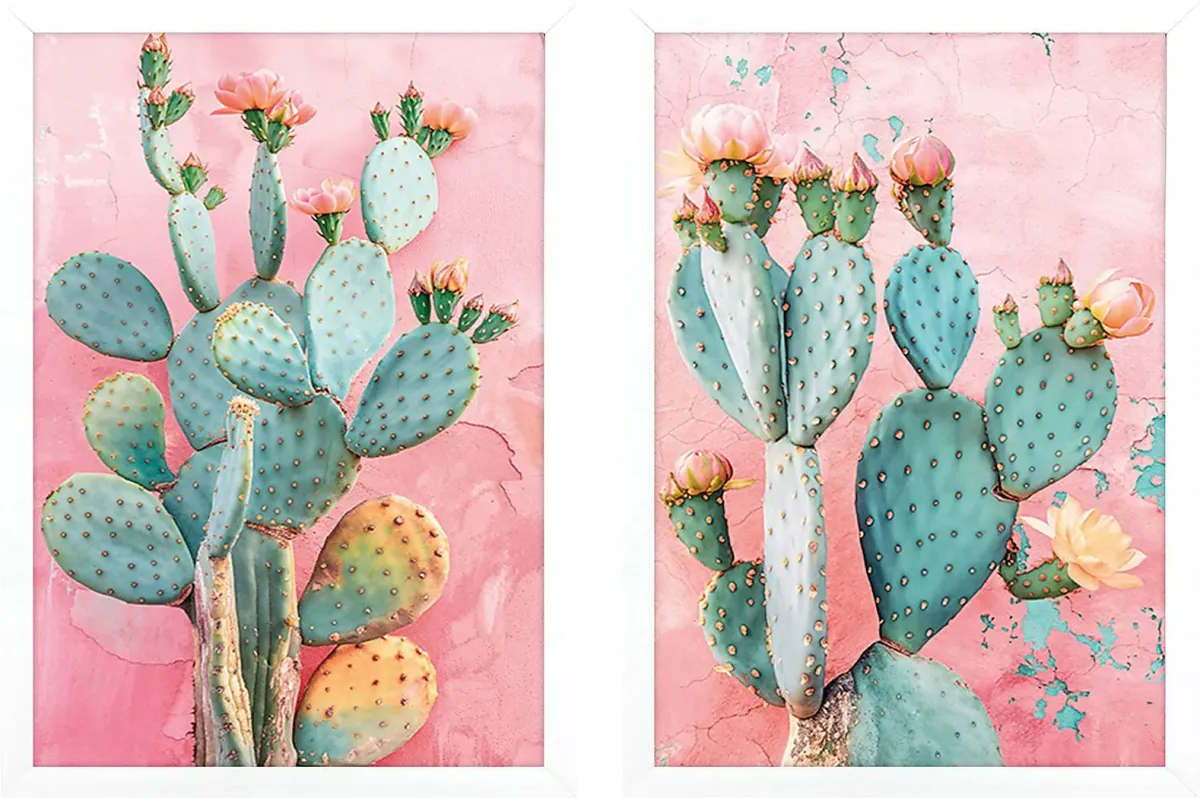 Cactus Blushing Pink Artwork, Set of 2