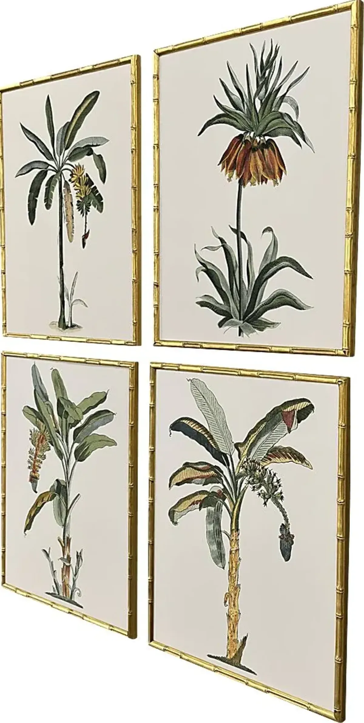 Arlox Green Artwork, Set of 4