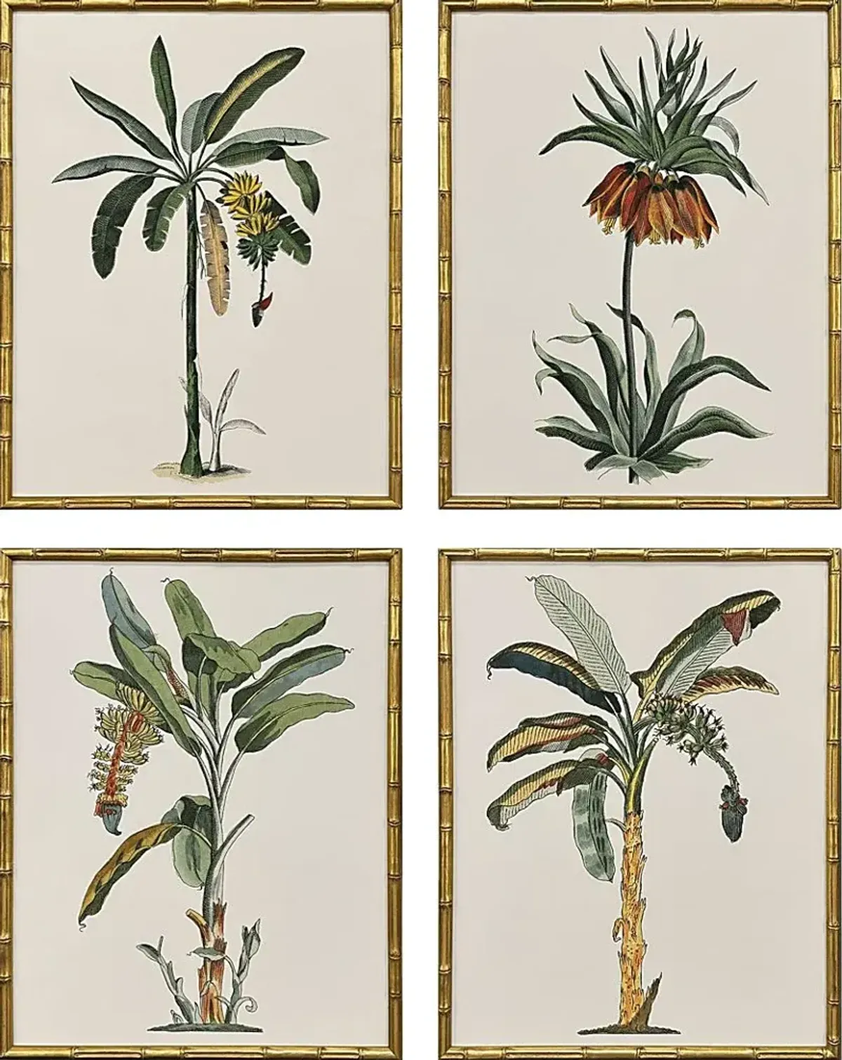 Arlox Green Artwork, Set of 4