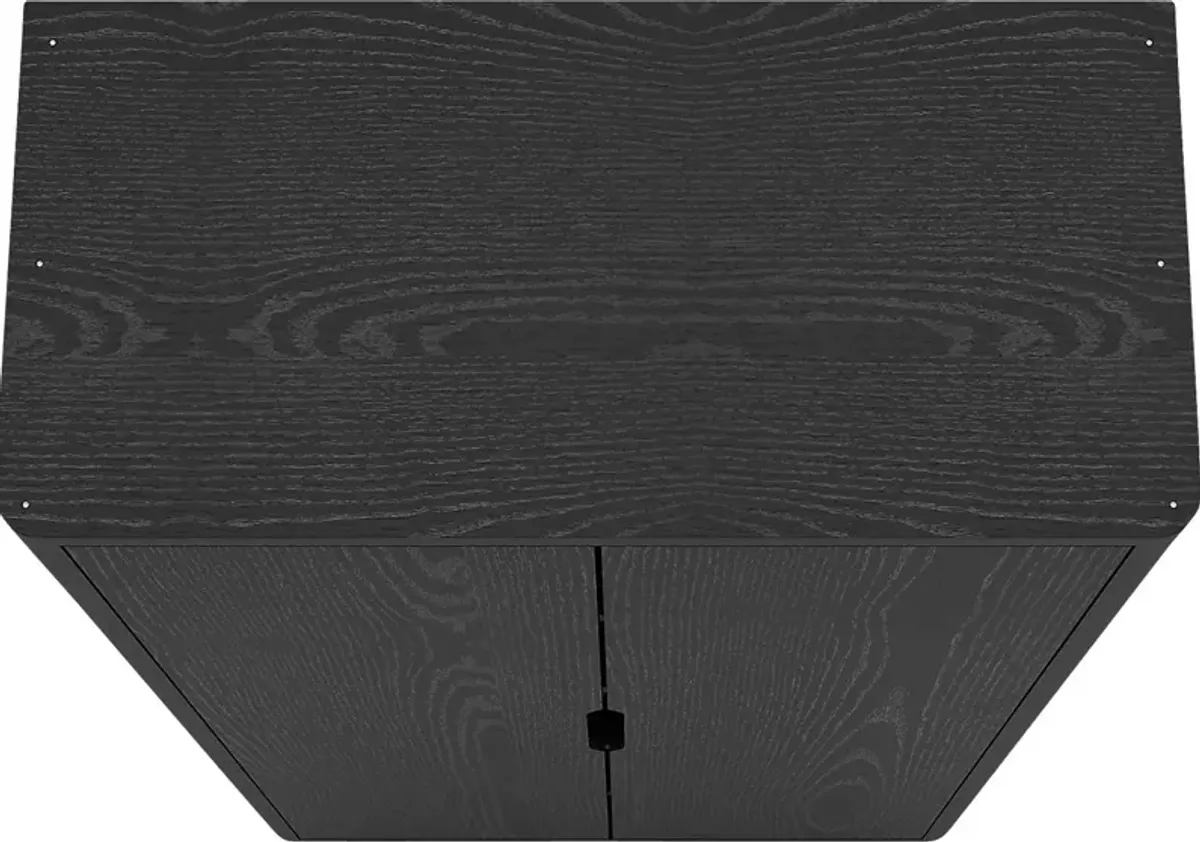 Shadebooks II Black Storage Cabinet