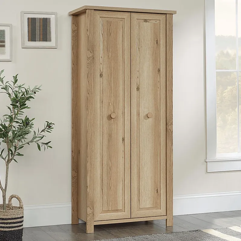 Baederwood Brown Storage Cabinet