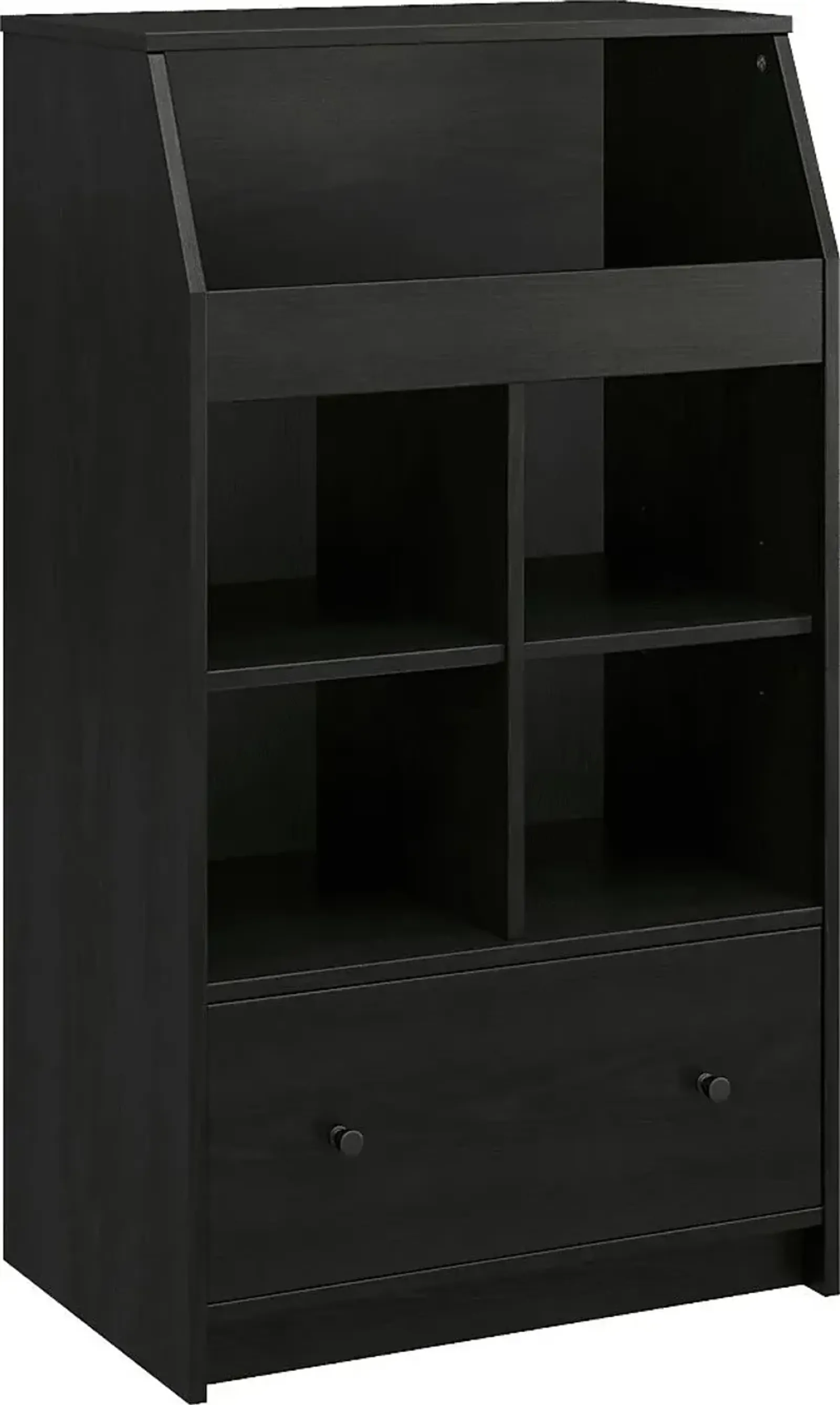 Pemiscot Black Accent Cabinet