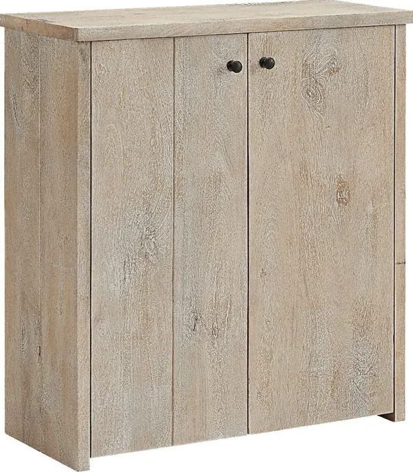 Roderock Brown Accent Shoe Storage Cabinet