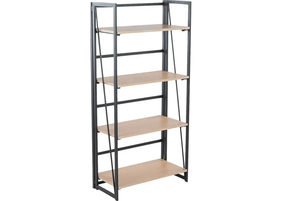 Zenobia Black Bookcase