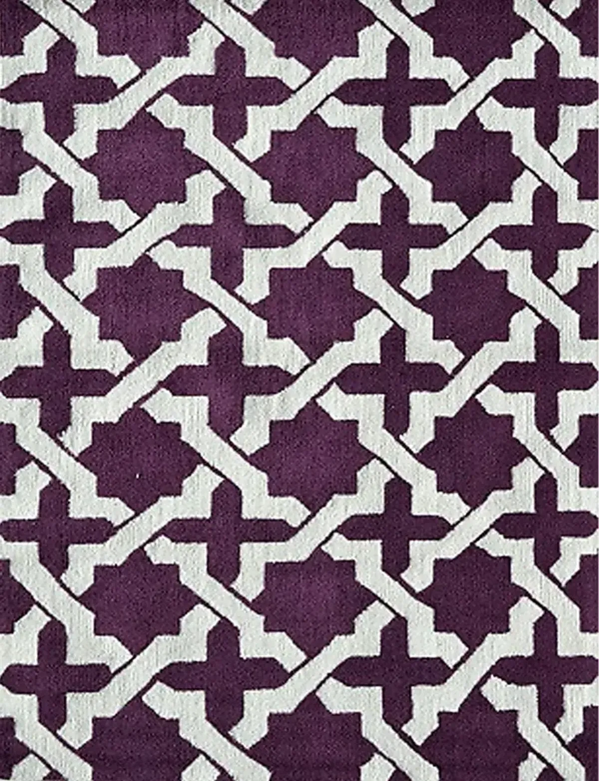 Qantio Purple 5' x 7' Indoor/Outdoor Rug