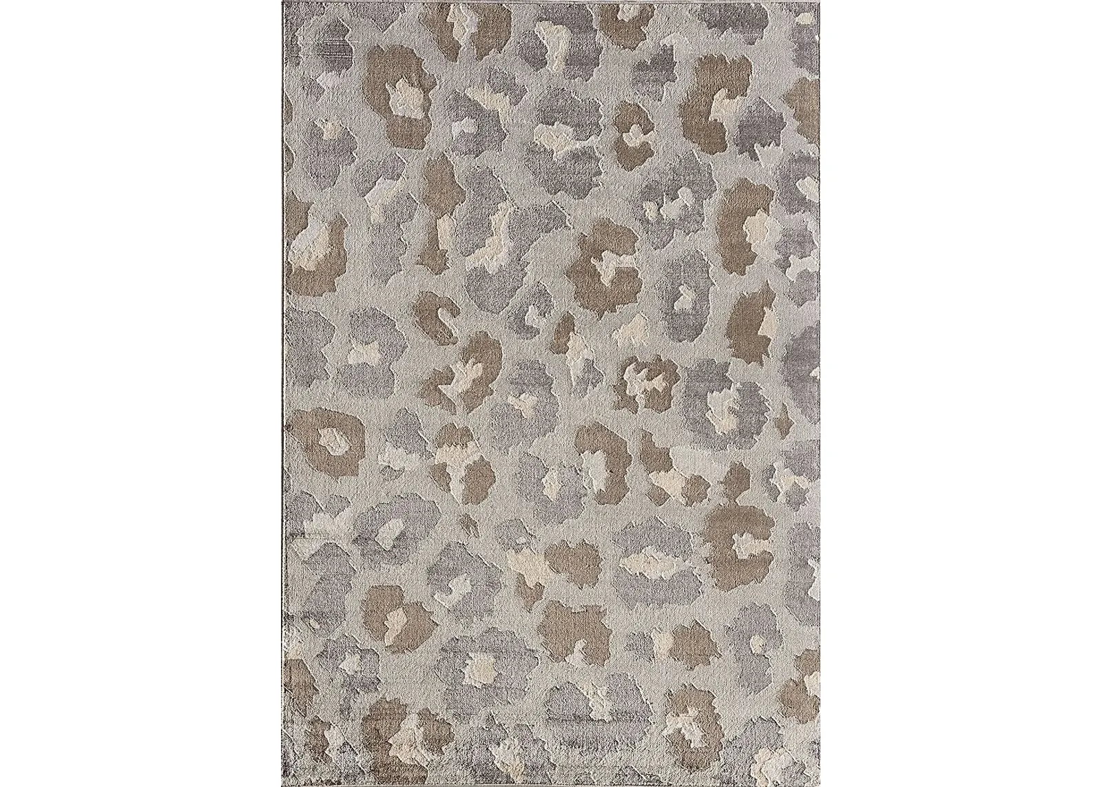 Minoro Gray 5' x 7' Rug