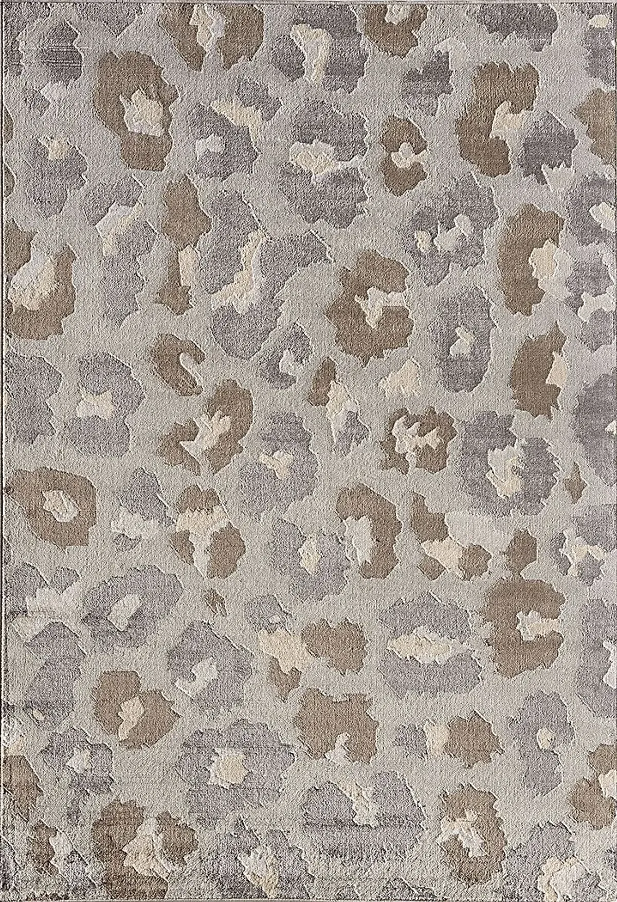 Minoro Gray 5' x 7' Rug