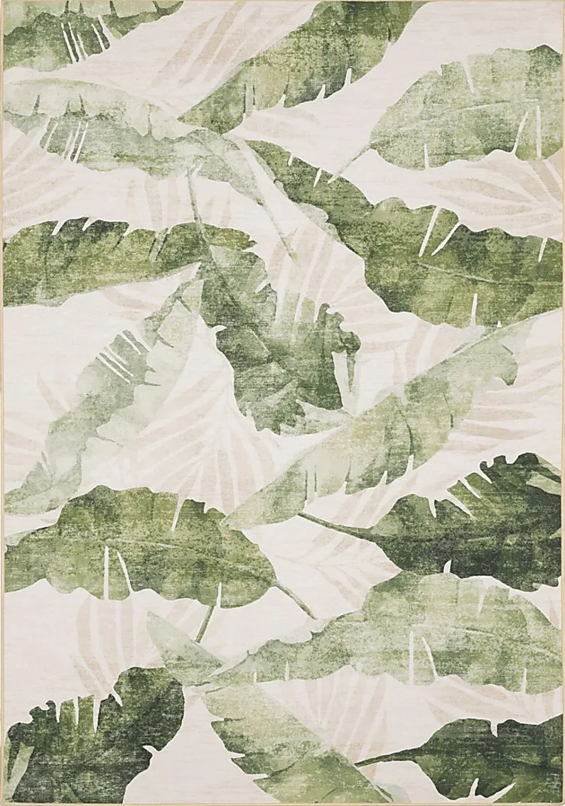 Palmradio Green 5' x 7' Rug