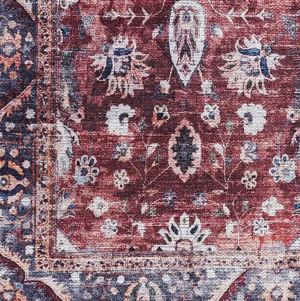 Adosis Ivory/Brick 5'3 x 7'3 Rug