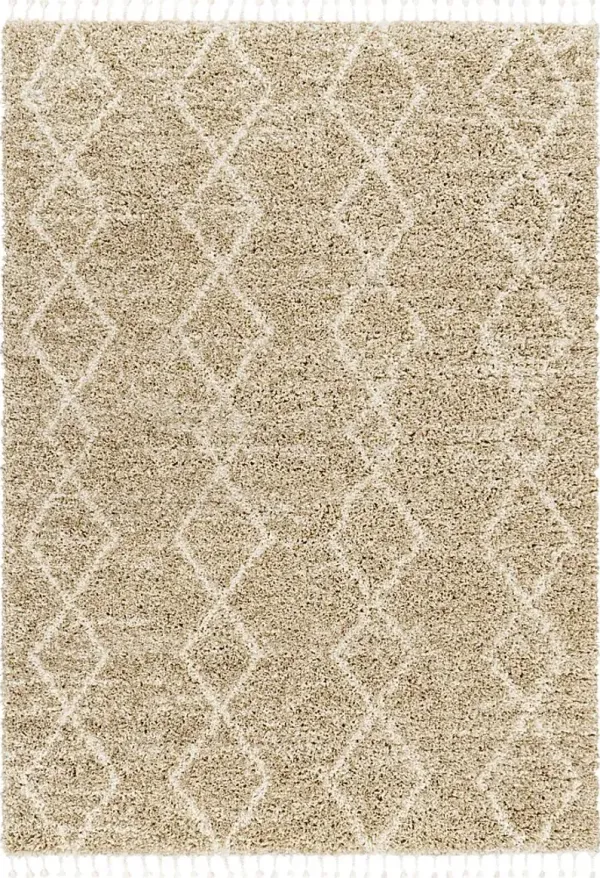 Trovista Beige 5'3 x 7' Area Rug