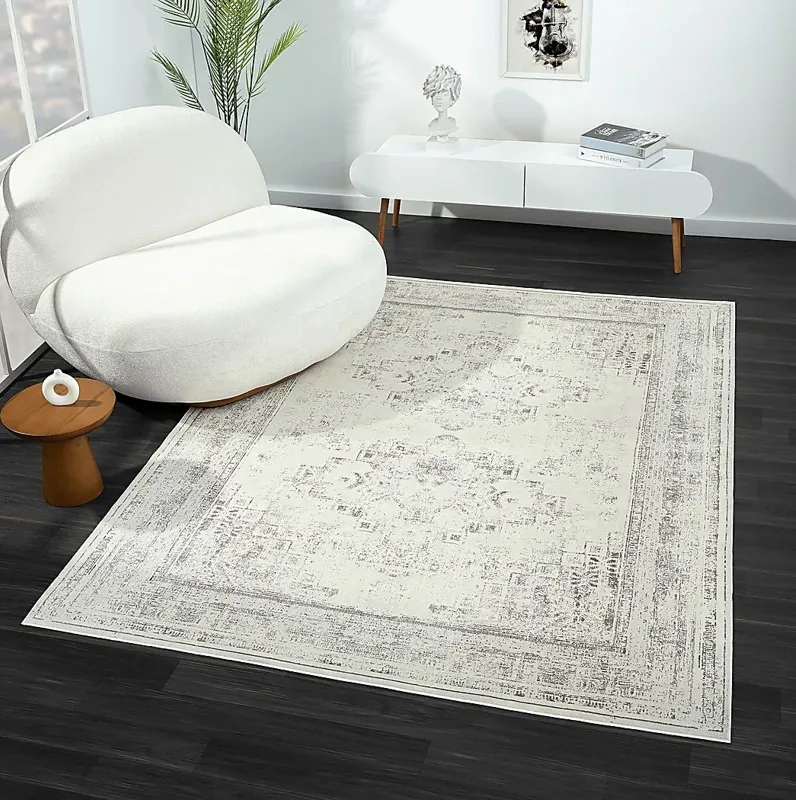 Dione Gray 5'3 x 7' Rug