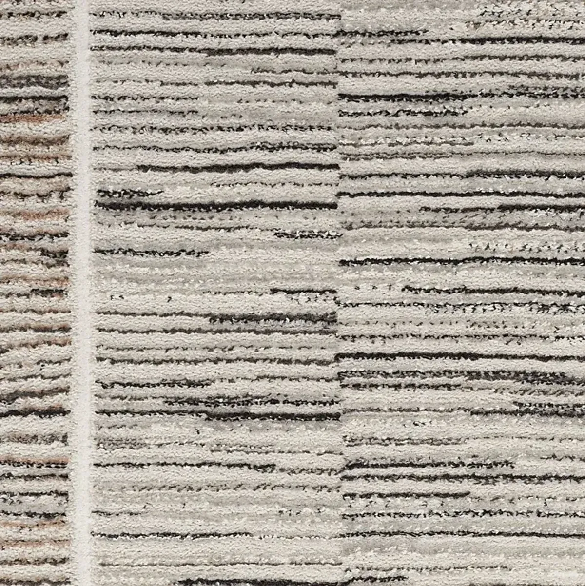 Paradare Charcoal/Gray 5'3 x 7'3 Rug