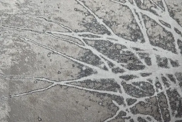 Daymere Silver 5' x 8' Rug