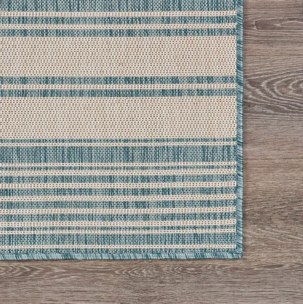 Elgaitere Aqua/White 5'3 x 7' Indoor/Outdoor Rug