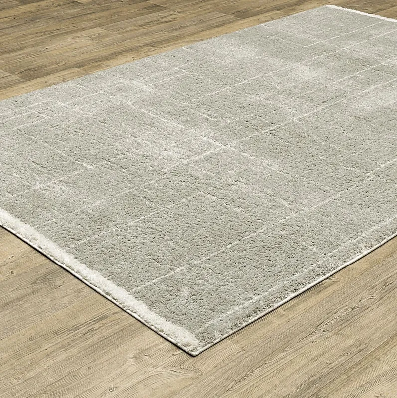 Ecto Park Gray 5'3 x 7'6 Rug