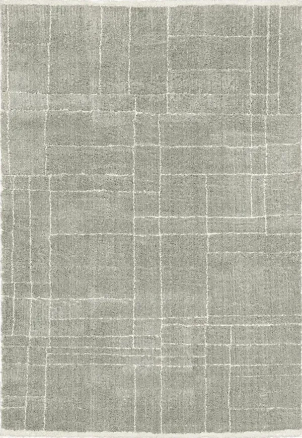 Ecto Park Gray 5'3 x 7'6 Rug