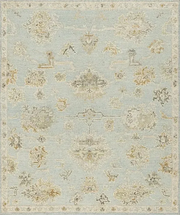 Paukett Blue 6' x 9' Rug