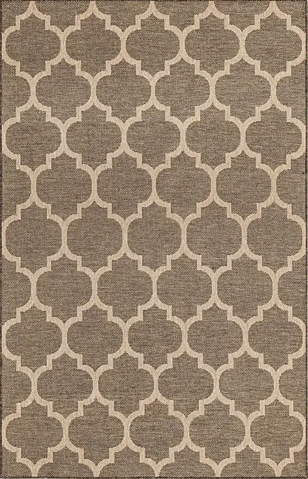 Oshrat Brown 5'5 x 8' Rug