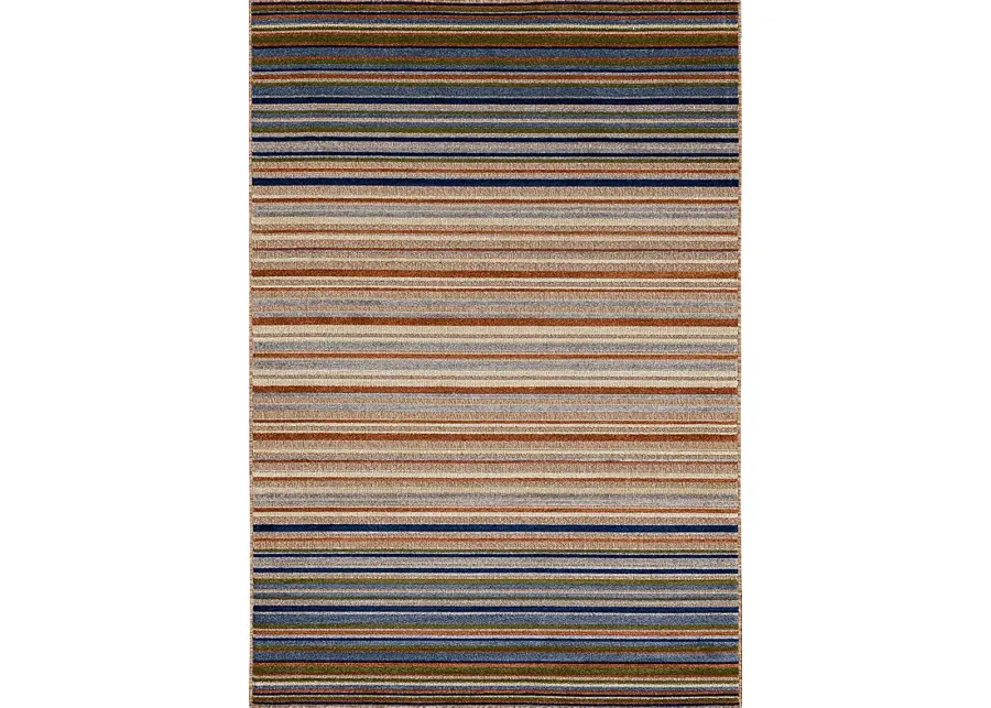 Roxmeny Multi 6' x 9' Indoor/Outdoor Rug