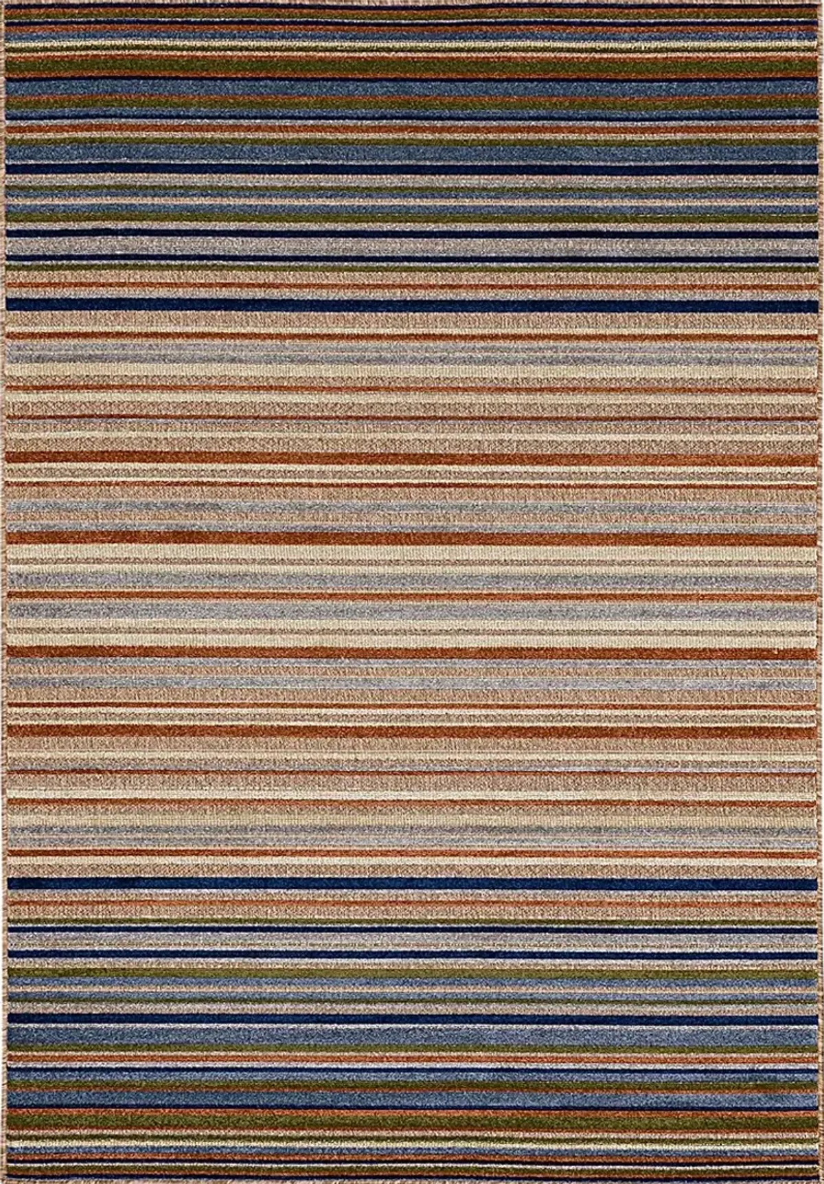 Roxmeny Multi 6' x 9' Indoor/Outdoor Rug