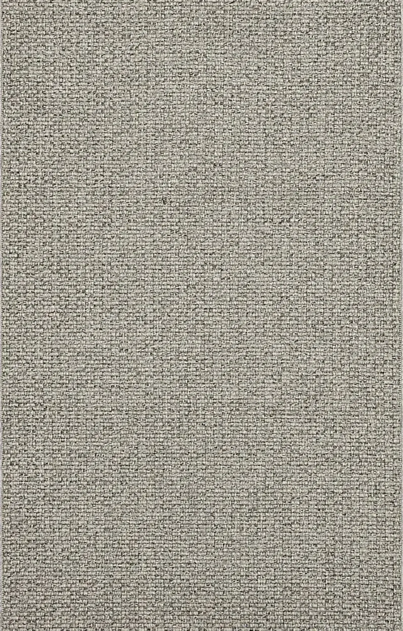 Salt Life Buxlam Bay Gray 6'6 x 9' Indoor/Outdoor Rug